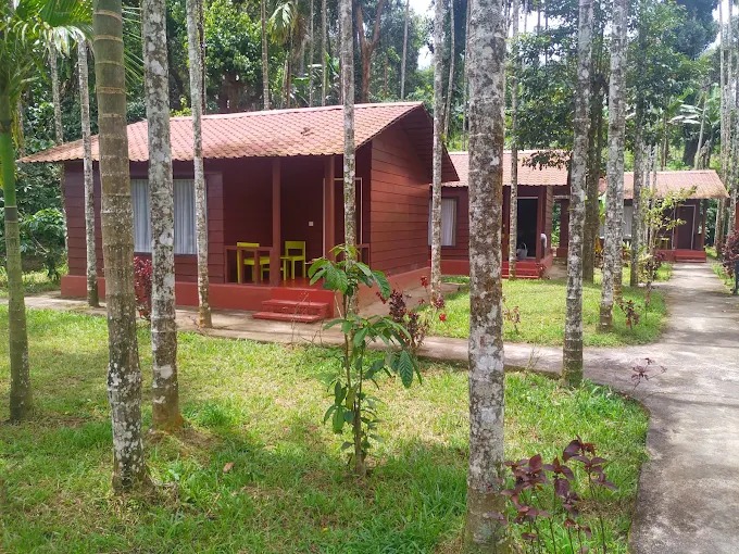 Lazo_Areca_Resort,_Coorg_(1)1749450910.png